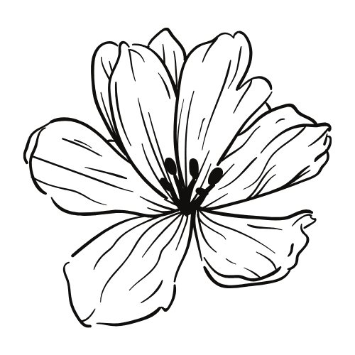 flor